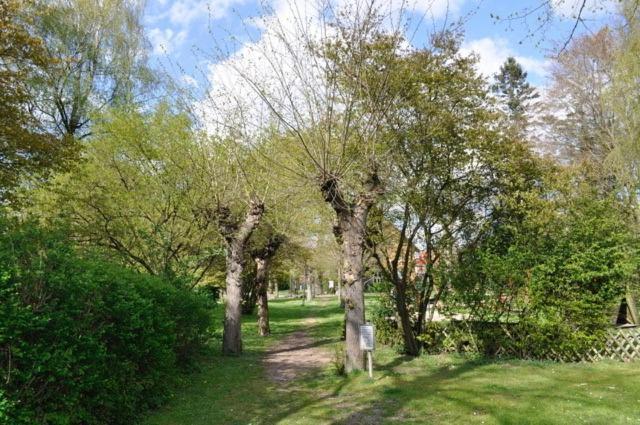 Ferienwohnung Suedpark Schneverdingen Zewnętrze zdjęcie